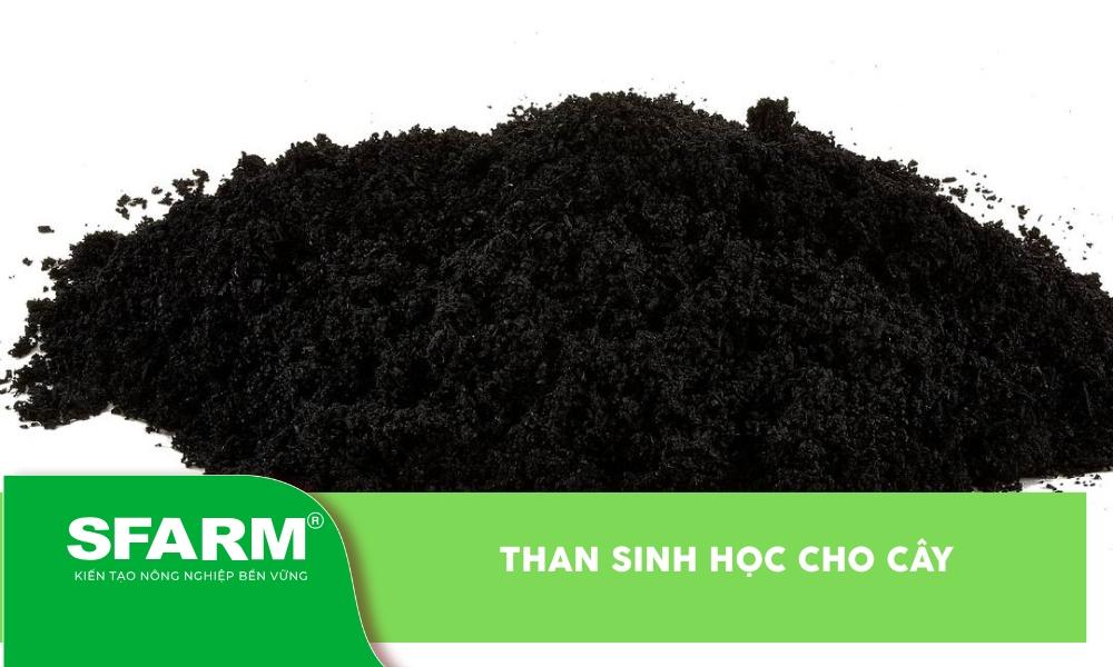 Những lợi ích vượt trội khi trồng đậu tương cải tạo đất: Giảm chi phí, tăng độ phì nhiêu, cải thiện cấu trúc và bảo vệ môi trường.